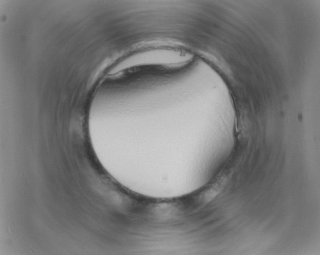 X0000077400111200611172114