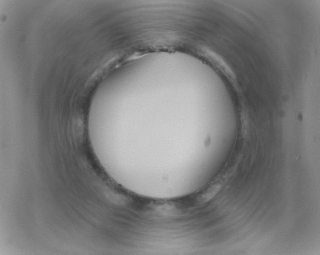 X0000077400113200611172114