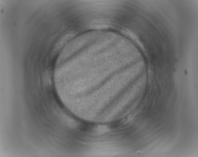 X0000077400114200611172114