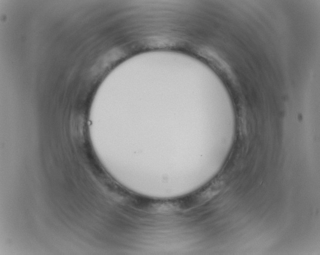 X0000077400115200611172114