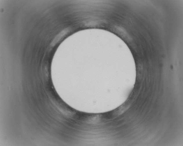 X0000077400116200611172114