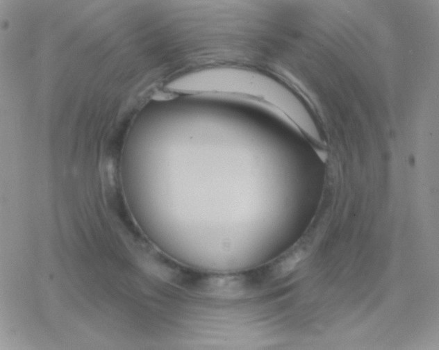 X0000077400117200611172114