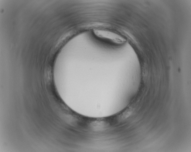 X0000077400119200611172114