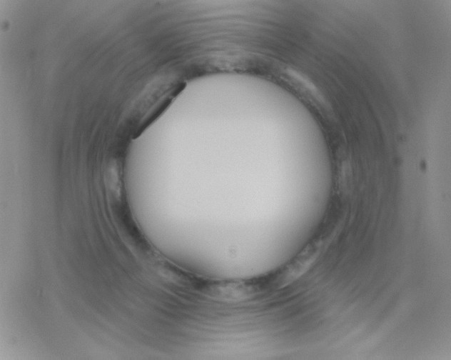 X0000077400121200611172114