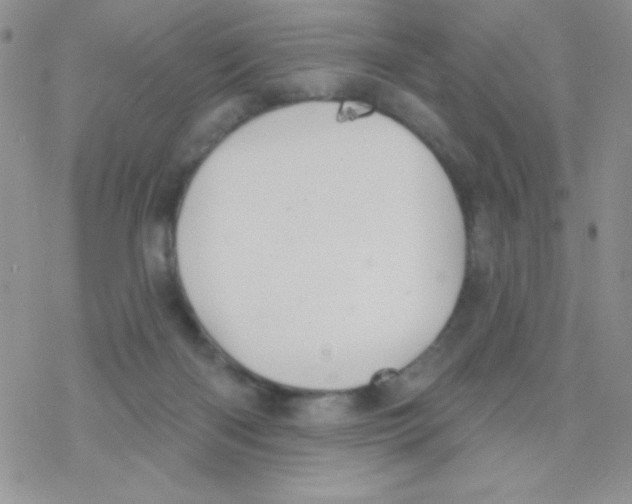 X0000077400122200611172114