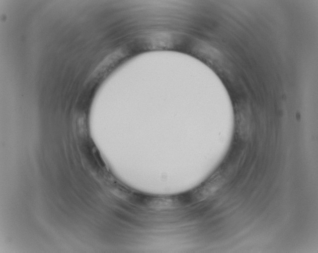 X0000077400123200611172114