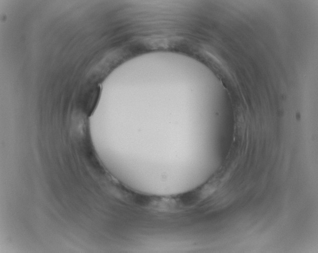 X0000077400125200611172114