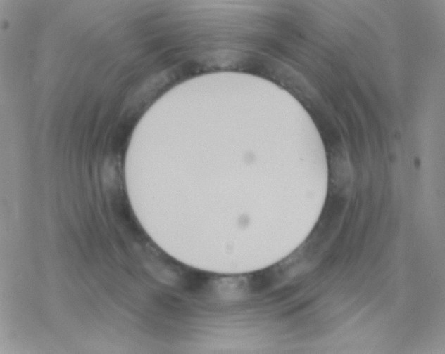 X0000077400126200611172114