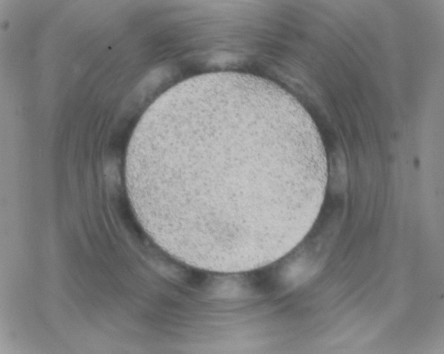 X0000077400127200611172114