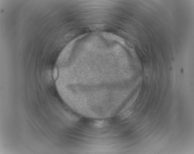 X0000077400130200611172113