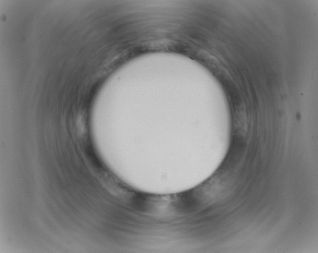 X0000077400131200611172113