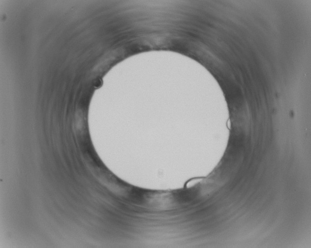 X0000077400132200611172113