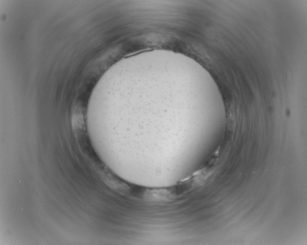 X0000077400137200611172113