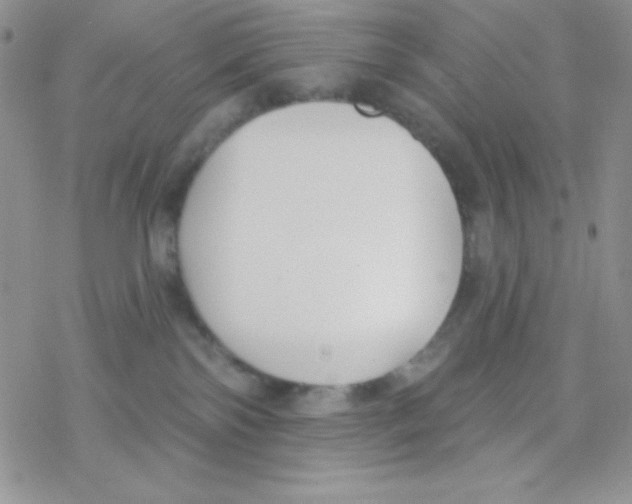 X0000077400138200611172113