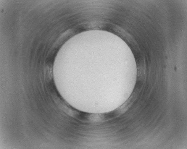 X0000077400142200611172113