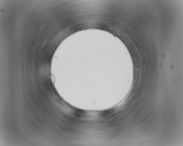 X0000077400144200611172113