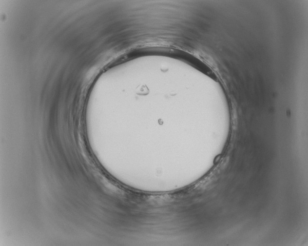 X0000077400145200611172112