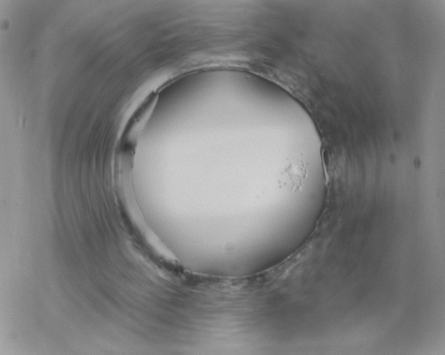 X0000077400148200611172112