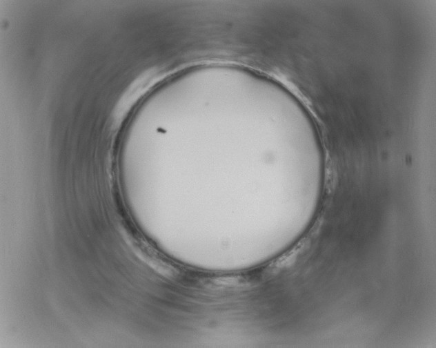 X0000077400151200611172113