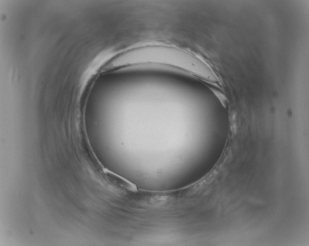 X0000077400152200611172113