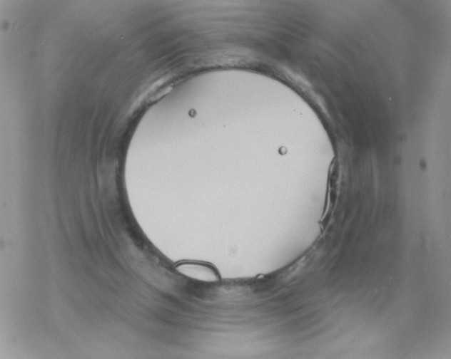 X0000077400154200611172113