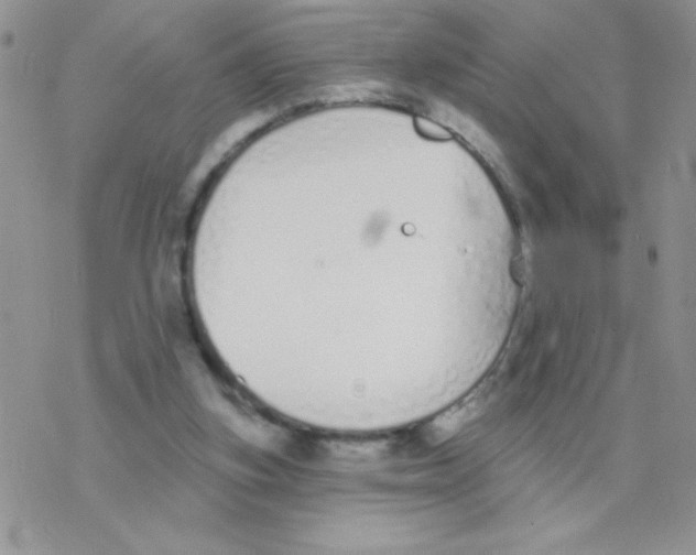 X0000077400155200611172113