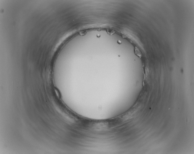 X0000077400156200611172113