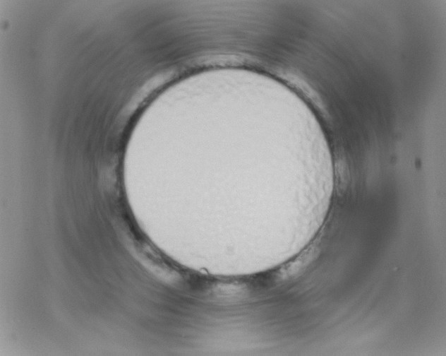 X0000077400159200611172113