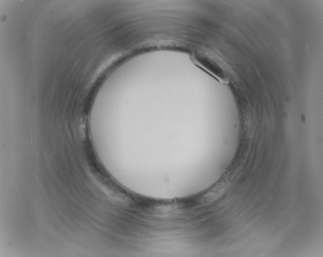 X0000077400160200611172113