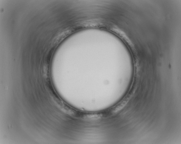 X0000077400161200611172113