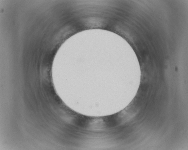 X0000077400162200611172113