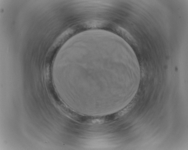 X0000077400163200611172113