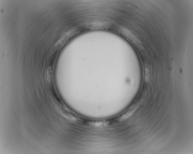 X0000077400165200611172113