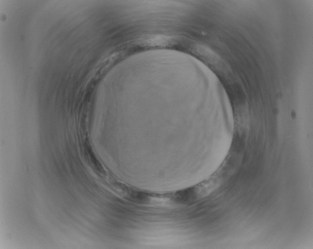 X0000077400167200611172113