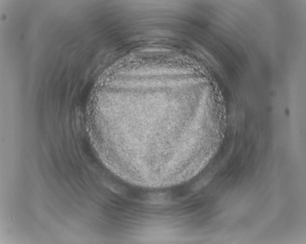 X0000077400169200611172113