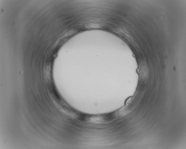 X0000077400171200611172113