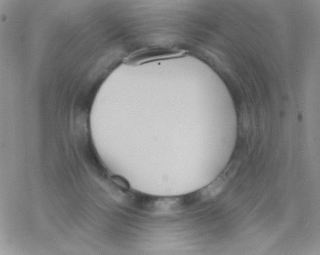 X0000077400172200611172113