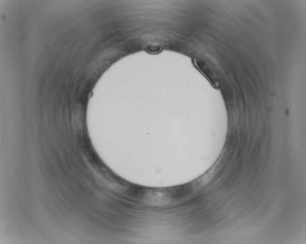 X0000077400174200611172113