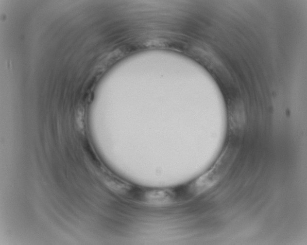 X0000077400175200611172113