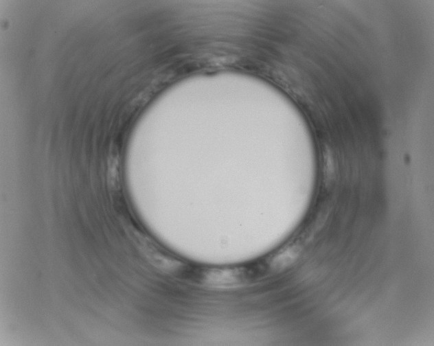 X0000077400177200611172113