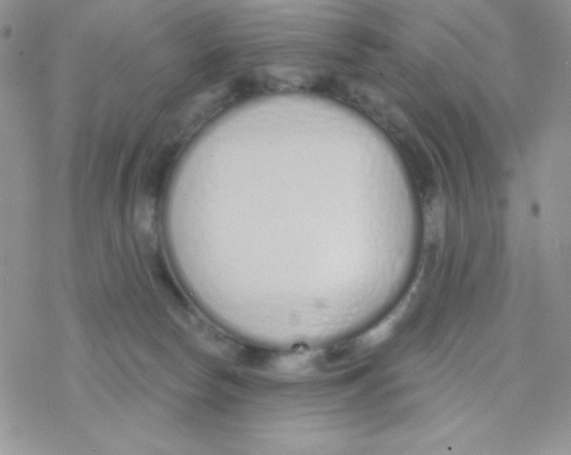 X0000077400178200611172113