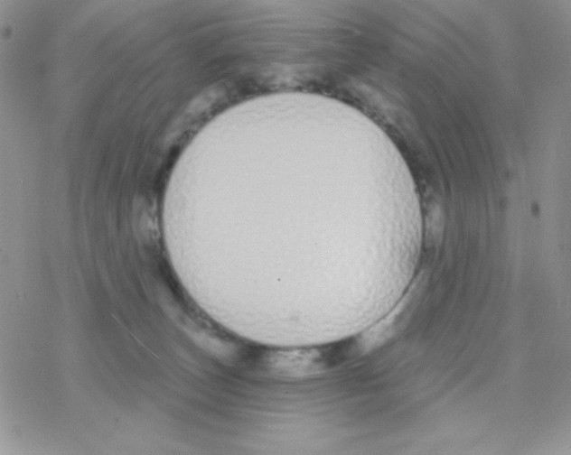 X0000077400179200611172113