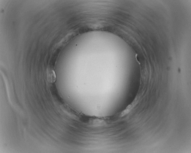 X0000077400180200611172113