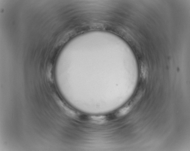 X0000077400185200611172113