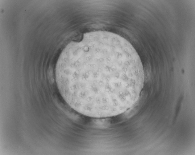 X0000077400187200611172113