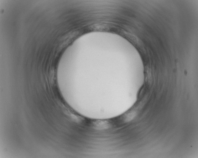 X0000077400189200611172113