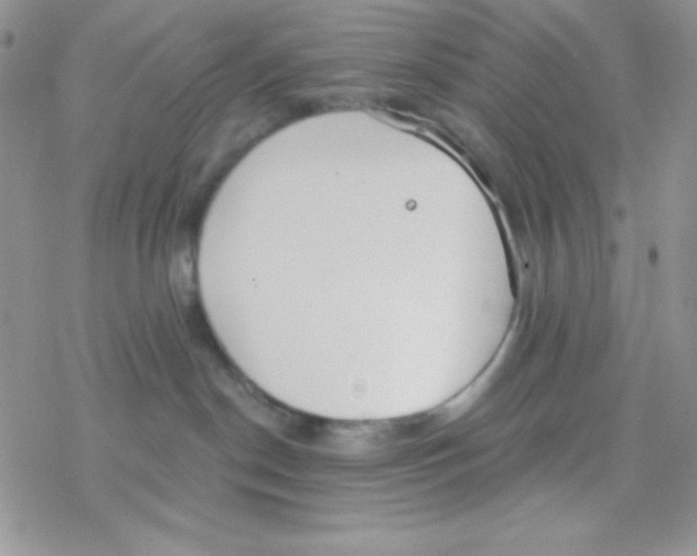 X0000077400190200611172113