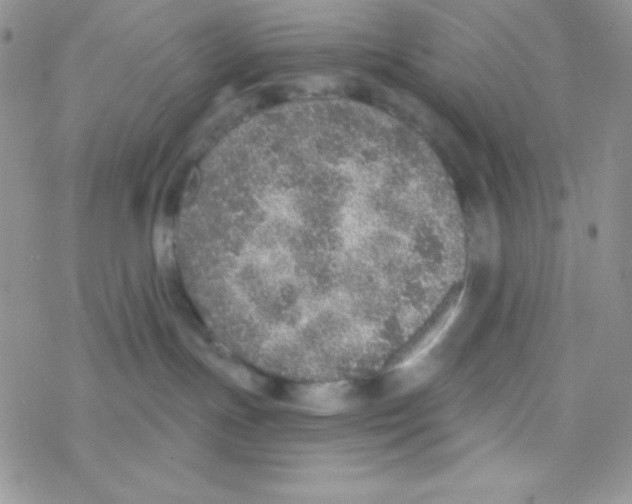 X0000077400191200611172113