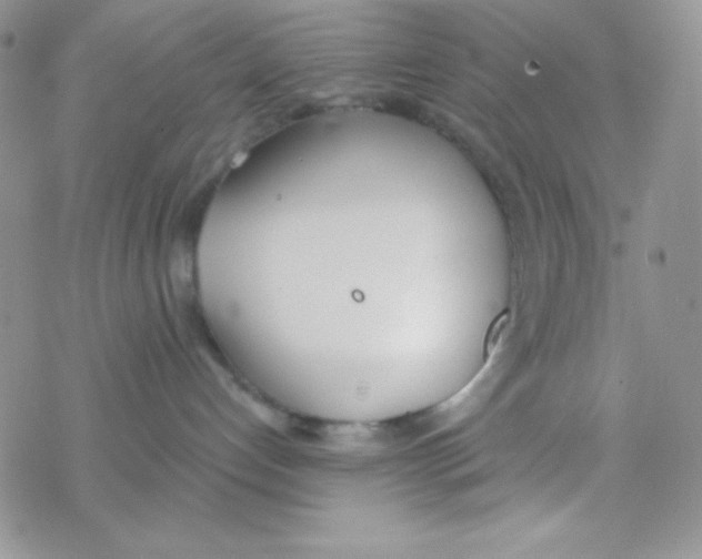 X0000077400192200611172113