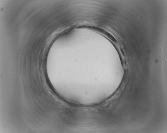 X0000077400193200611172112